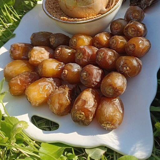خرید رطب کبکاب